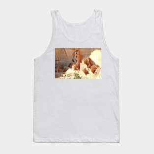 Square Tower House Study 2 Tank Top